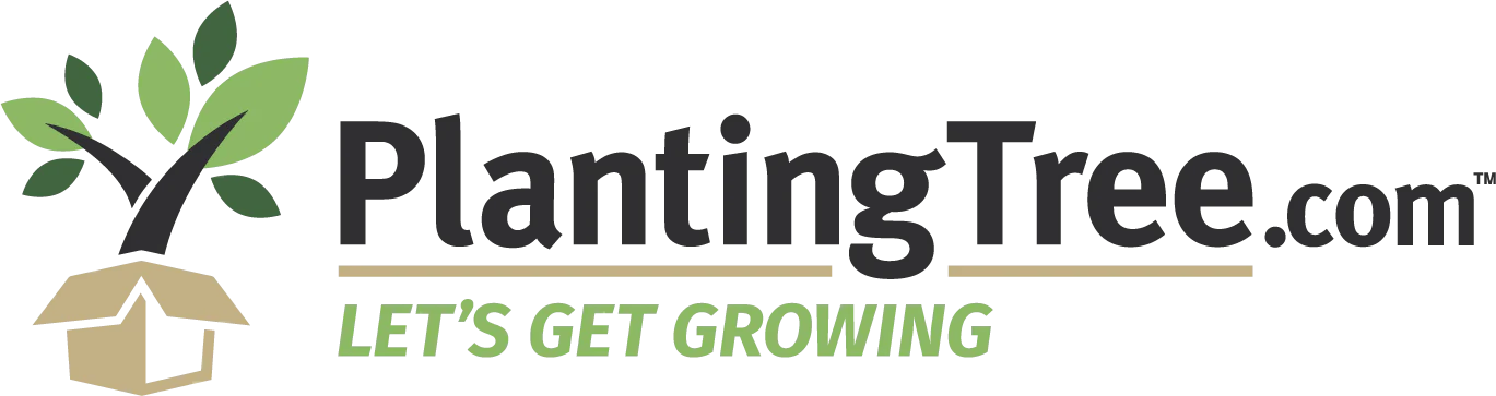 PlantingTree